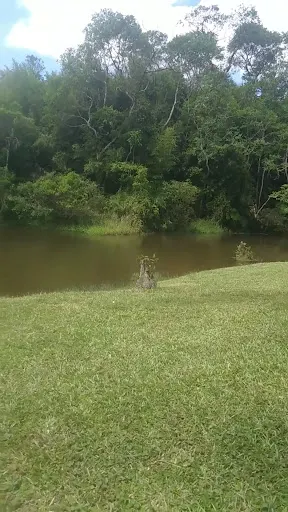 Foto 11 de Borboletário de São Paulo
