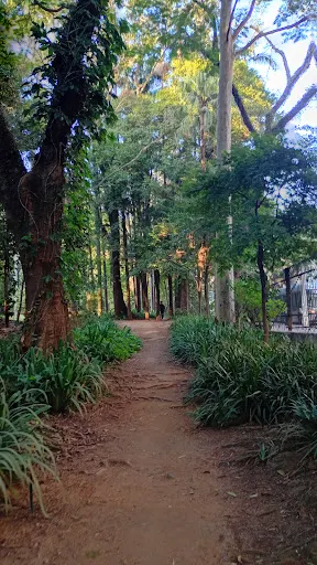 Foto 18 de Parque Jardim da Luz