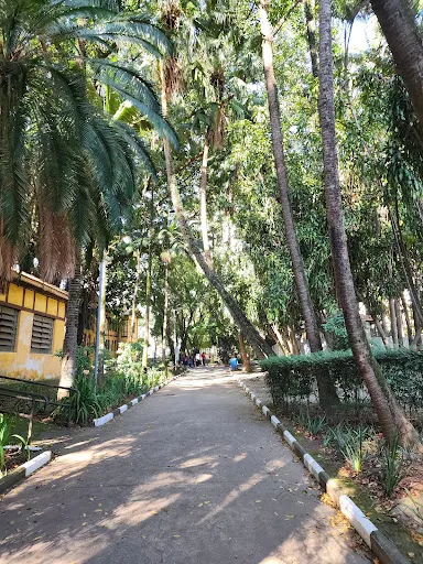 Foto 17 de Parque da Água Branca