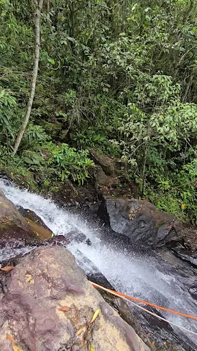 Foto 6 de Cachoeira do Palomar