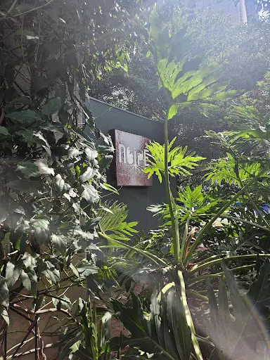 Foto 20 de NOIPÊ