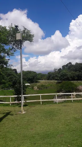 Foto 11 de Palácio do Horto Florestal (Palácio de Verão do Governador)