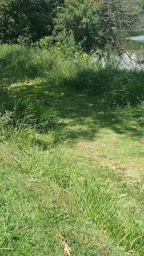 Foto 28 de Parque Tietê Ecológico Barueri