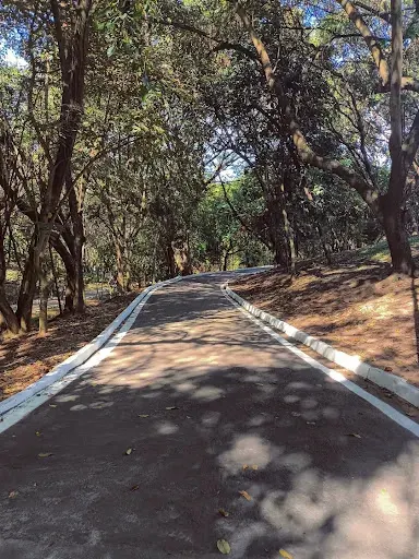 Foto 30 de Parque Ecológico Dionísio Alvarez Mateos