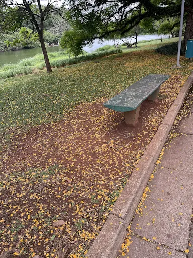 Foto 30 de Parque Ibirapuera