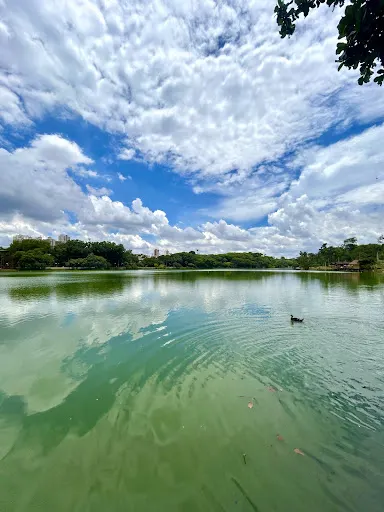 Foto 16 de Parque Portugal Campinas