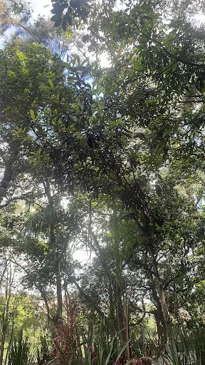 Foto 20 de Parque Ecológico do Jardim Bonança