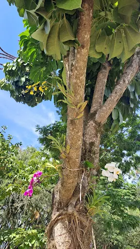 Foto 26 de Parque Tietê Ecológico Barueri