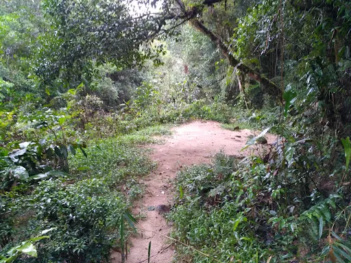 Foto 7 de Ribeirão Dos Campos