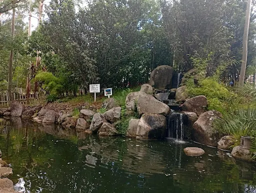 Foto 21 de Parque Ecológico Profª Lydia Natalizio Diogo - Vila Prudente