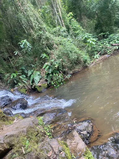 Foto 23 de Cachoeira do Vau Novo