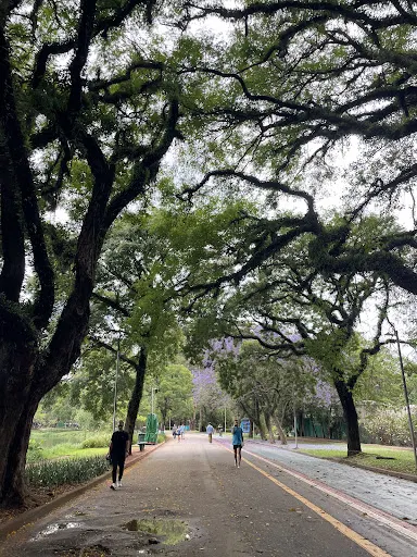 Foto 29 de Parque Ibirapuera