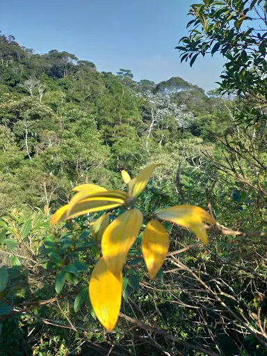 Foto 22 de Parque Ecológico Imigrantes