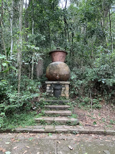 Foto 27 de Jardim Botânico de São Paulo