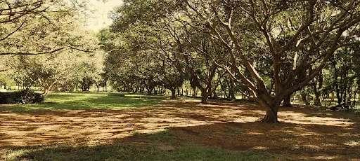 Foto 34 de Parque Villa-Lobos