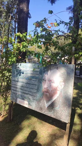 Foto 26 de Parque Van Gogh