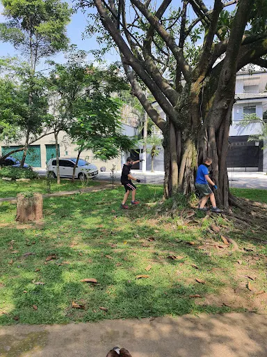 Foto 7 de ParCão Chácara Monte Alegre
