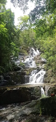 Foto 32 de Cachoeira do Palomar