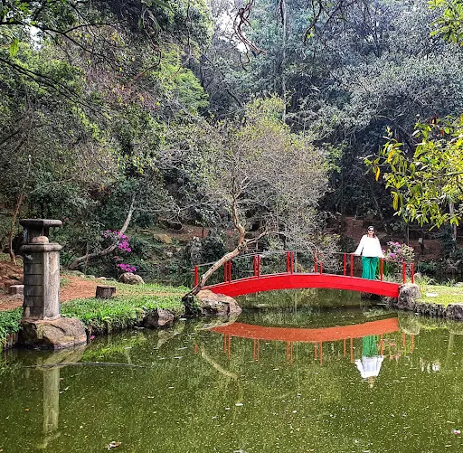 Foto 8 de Parque Takebe