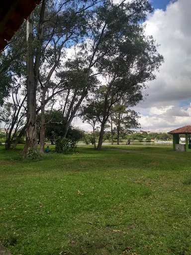 Foto 26 de Centro de Educação Ambiental - Parque Ecológico do Tietê