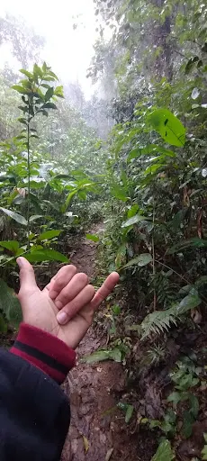 Foto 20 de Camping Mairiporã - Pico do Olho d'Água - Buschcraft 24h