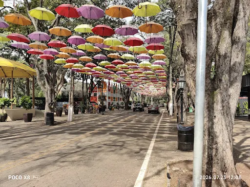Foto 13 de Guarda-chuvas de Holambra