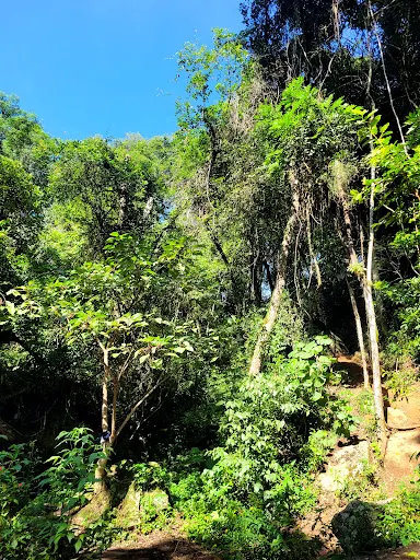 Foto 16 de Trilha Cachoeira da Graça