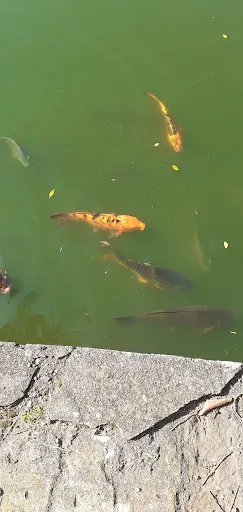 Foto 19 de Parque Horto Florestal - Portões 1 e 2