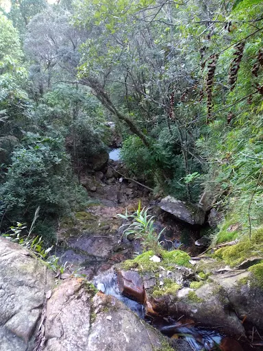 Foto 32 de CACHOEIRA DO SURU SERRA DO VOTORUNA