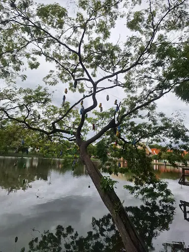Foto 10 de Nossa Prainha