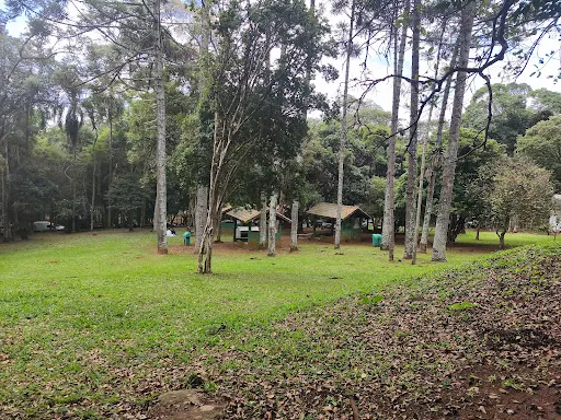 Foto 37 de Parque Estadual Jaraguá