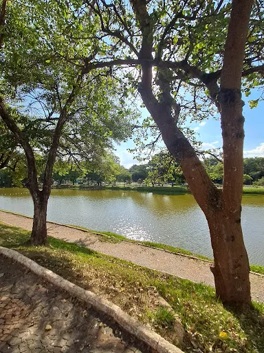 Foto 11 de Parque Zeca Malavazzi