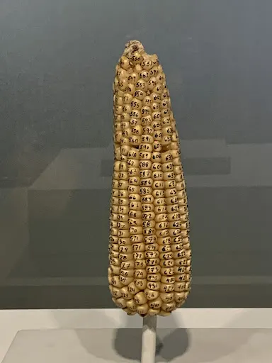 Foto 39 de Museu de Arte de São Paulo Assis Chateaubriand