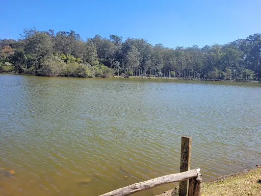 Foto 17 de Área de Proteção Ambiental Parque e Fazenda do Carmo
