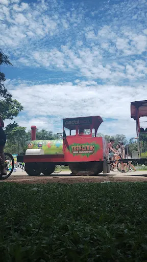 Foto 35 de Trem Turístico - Parque Ecológico