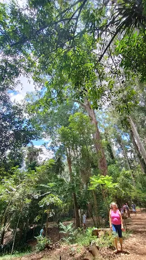 Foto 18 de Parque Ecológico Chico Mendes