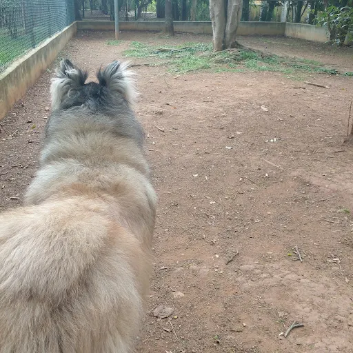 Foto 10 de ParCão Chácara Monte Alegre