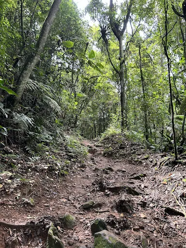 Foto 17 de Parque Estadual Cantareira - Núcleo Engordador