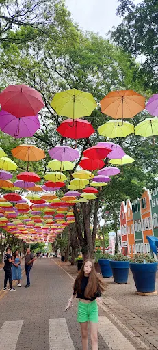 Foto 37 de Portal Turístico da Cidade de Holambra