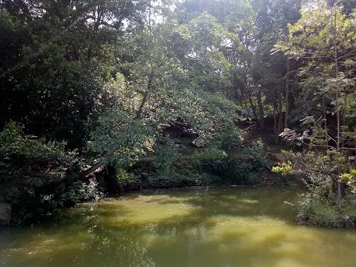 Foto 23 de Parque Takebe