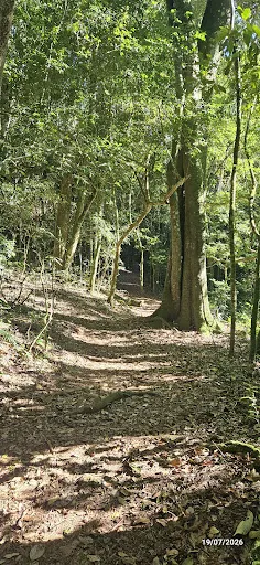Foto 19 de Parque Estadual Cantareira - Núcleo Engordador