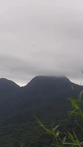 Foto 5 de Cachoeira do Rio Guacá