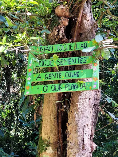 Foto 20 de Trilha Cachoeira da Graça