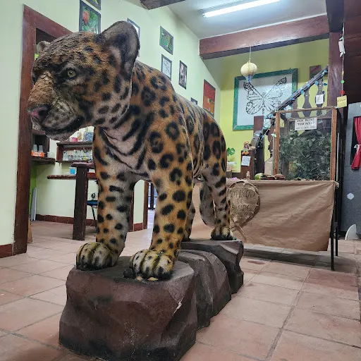Foto 17 de Centro de Educação Ambiental - Parque Ecológico do Tietê