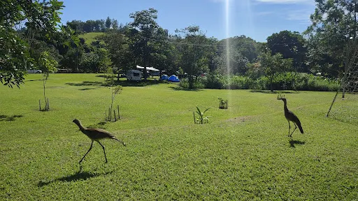Foto 14 de Camping Recanto Passa 5