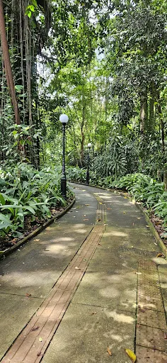 Foto 17 de Orquidário Municipal de Santos