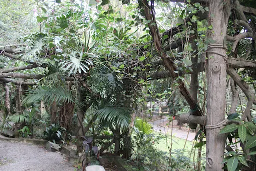 Foto 36 de Parque Horto Florestal - Portões 1 e 2