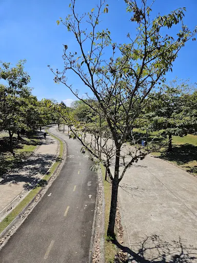 Foto 17 de Parque Estadual do Belém Manoel Pitta