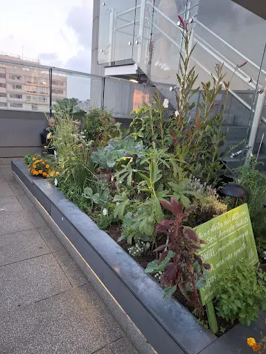Foto 13 de Mirante - Sesc Avenida Paulista