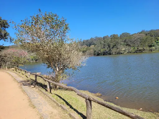 Foto 15 de Área de Proteção Ambiental Parque e Fazenda do Carmo